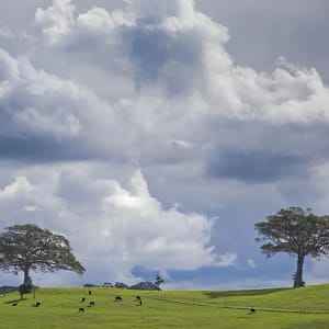 Swamp Road, Jamberoo