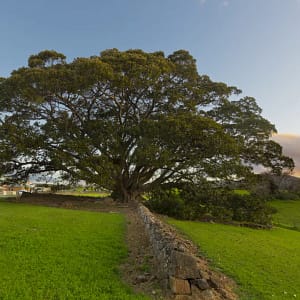 Swamp Road, Jamberoo