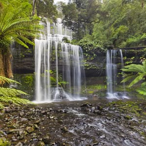 Russell Falls, Tasmania