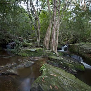 Helensburgh, NSW