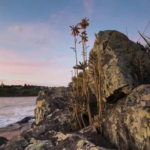 Easts Beach, Kiama