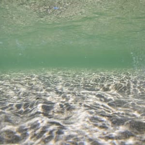 Minnamurra River, NSW