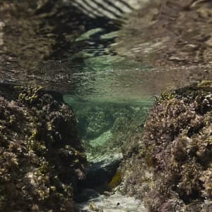 Minnamurra River, NSW