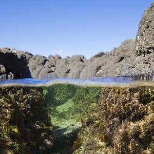 Minnamurra River, NSW