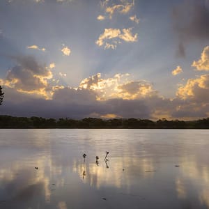 Minnamurra River, NSW