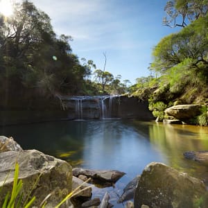 Robertson, NSW