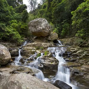 Macquarie Pass NP