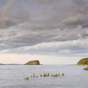 Minnamurra River, NSW