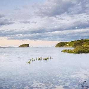 Minnamurra River, NSW