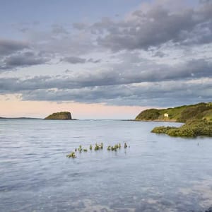 Minnamurra River, NSW