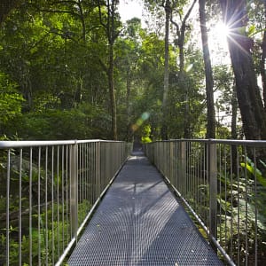 Minnamurra Rainforest Walk