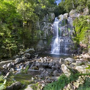 Minnamurra Falls