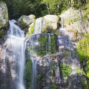 Minnamurra Falls