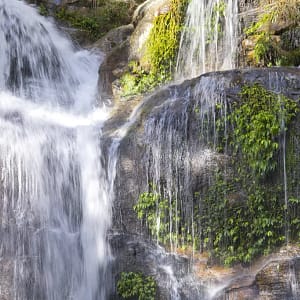 Minnamurra Falls