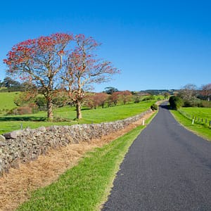 Old Saddleback Rd, Kiama NSW