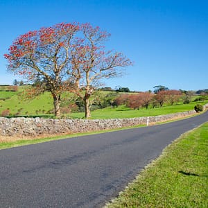Old Saddleback Rd, Kiama NSW