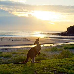Hop into your new day