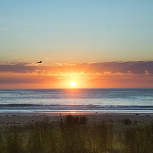Your new day at Merry Beach