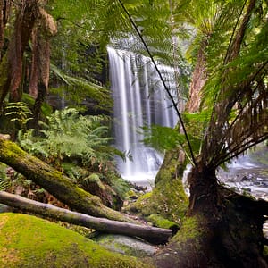 Russell Falls, Tasmania