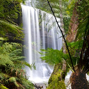 Russell Falls, Tasmania