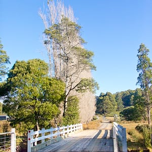 Westaway, Tasmania