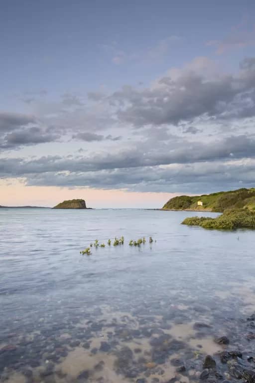 Minnamurra River, NSW
