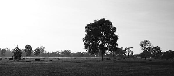 Merluna Station, Weipa