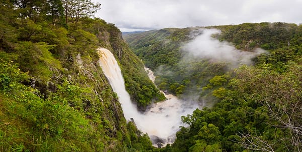 Elands, NSW