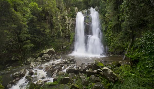 Minnamurra Rainforest