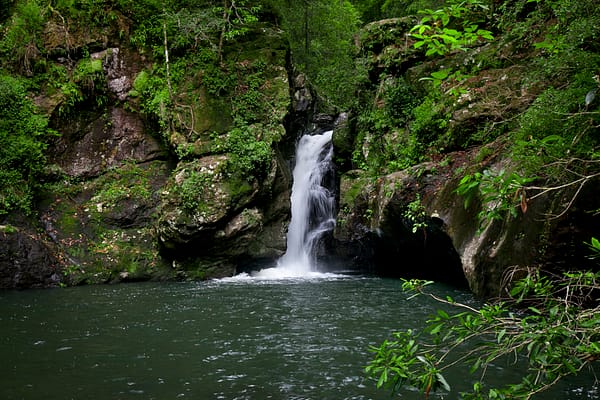 Potoroo Falls, NSW_1