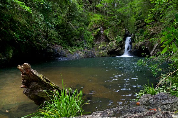 Potoroo Falls, NSW_2