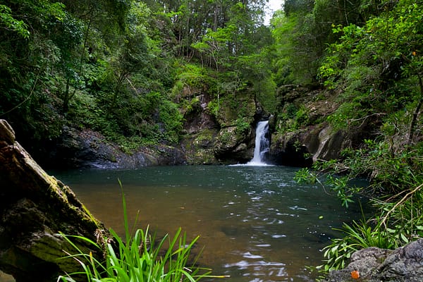 Potoroo Falls, NSW_3
