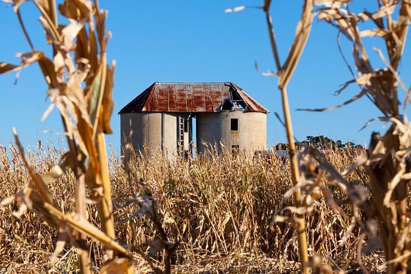 Bolong, NSW
