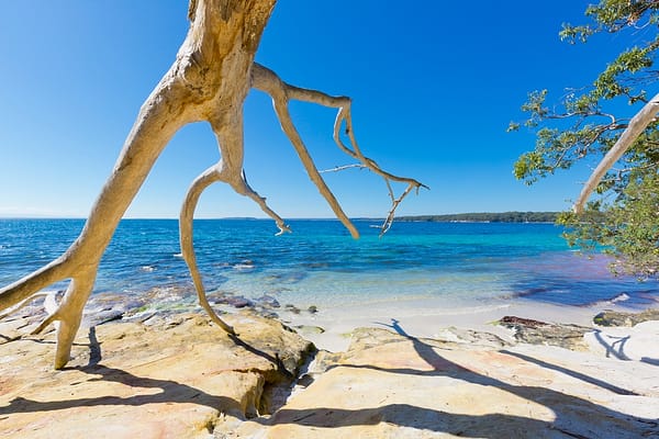 Bristol Point, NSW