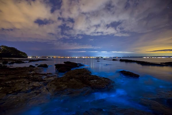 Vincentia, NSW