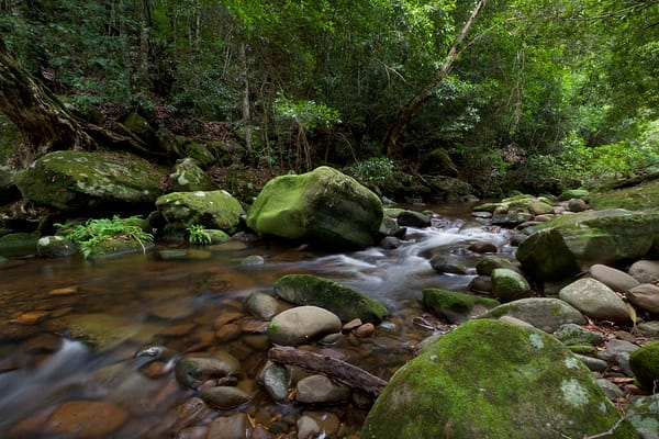 Nowra, NSW