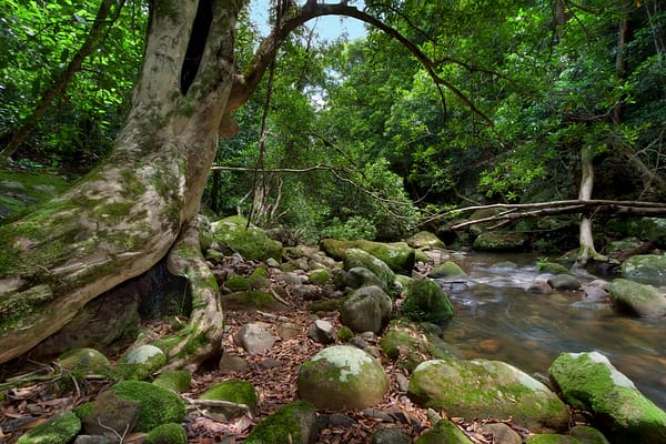 Nowra, NSW