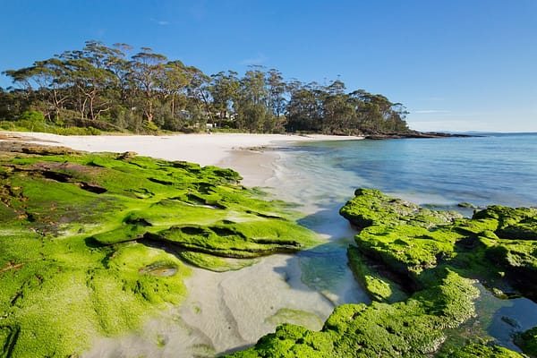 Hyams Beach, NSW