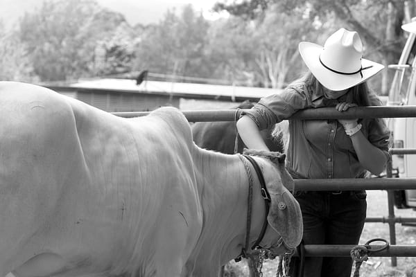 Kangaroo Valley, NSW