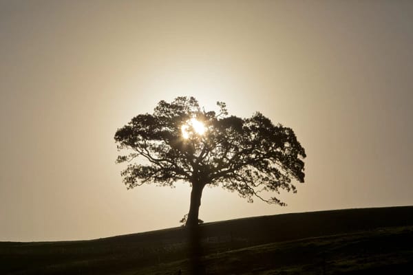 Swamp Road, Jamberoo