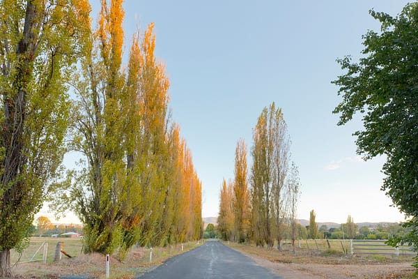 Tumut, NSW