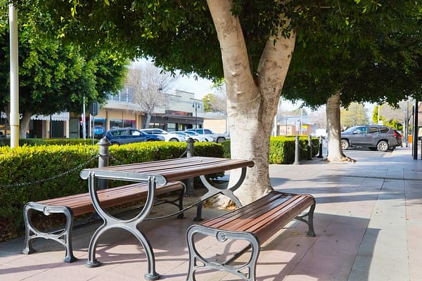 Moree, NSW