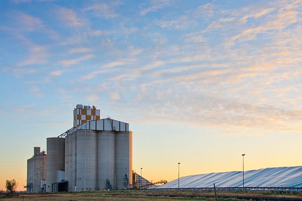 Moree, NSW