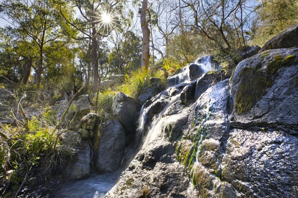 Mount Kaputar National Park, Narrabri, NSW