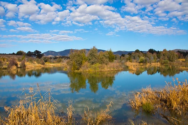 Mudgee, NSW