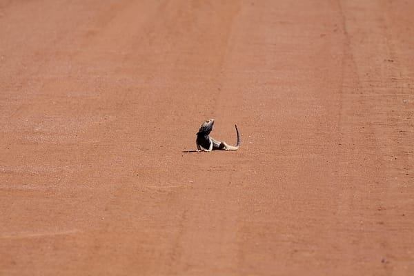 Outback NSW