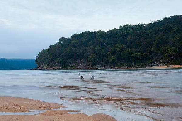 Patonga, NSW