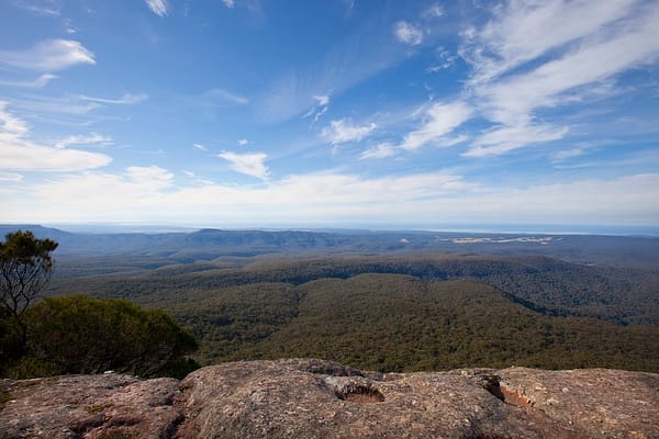 Morton, NSW