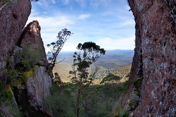 Morton, NSW