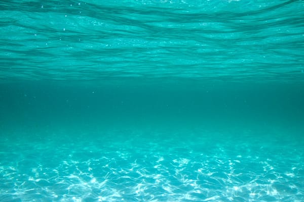 Hyams Beach, NSW